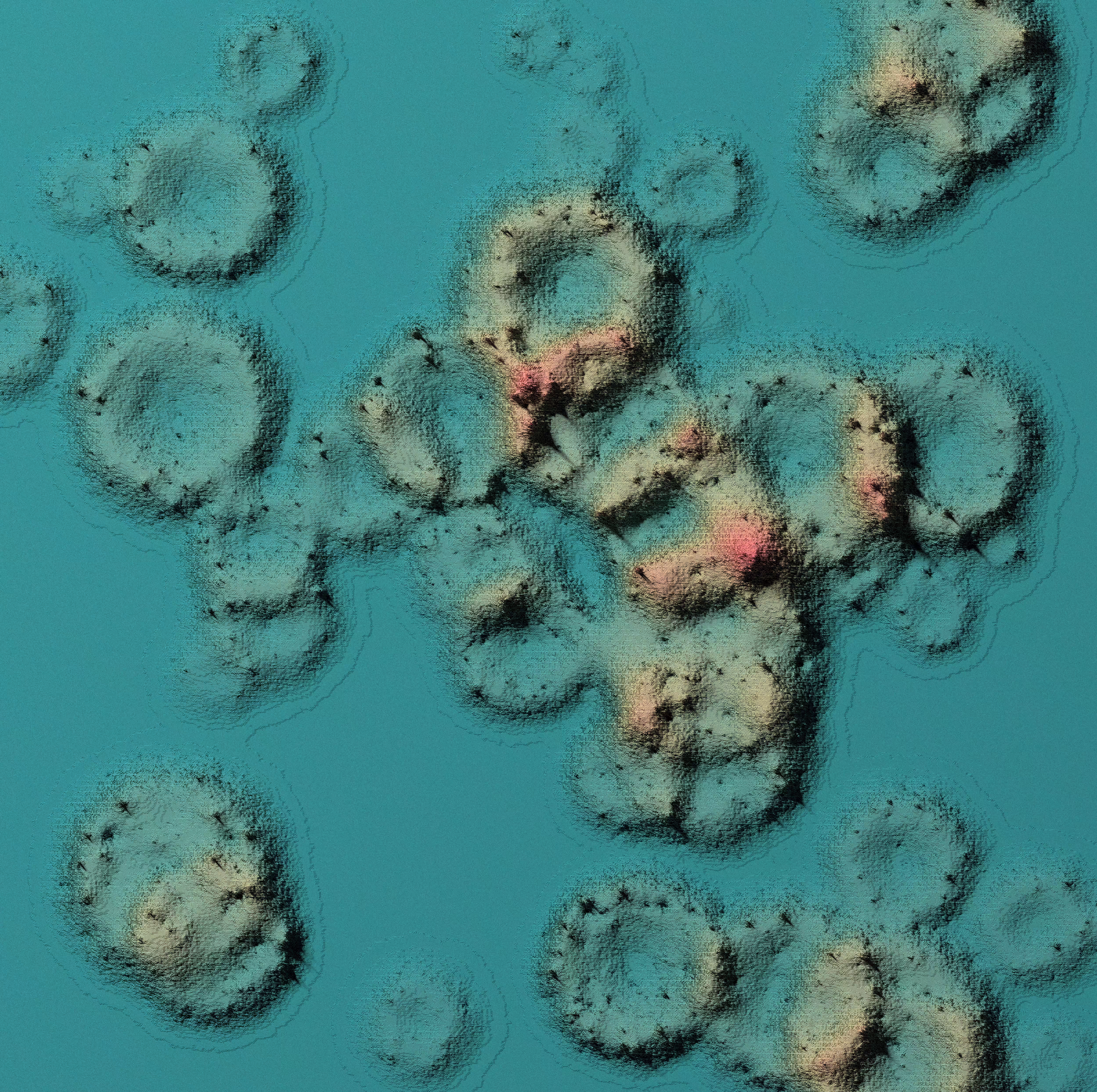 Cellula