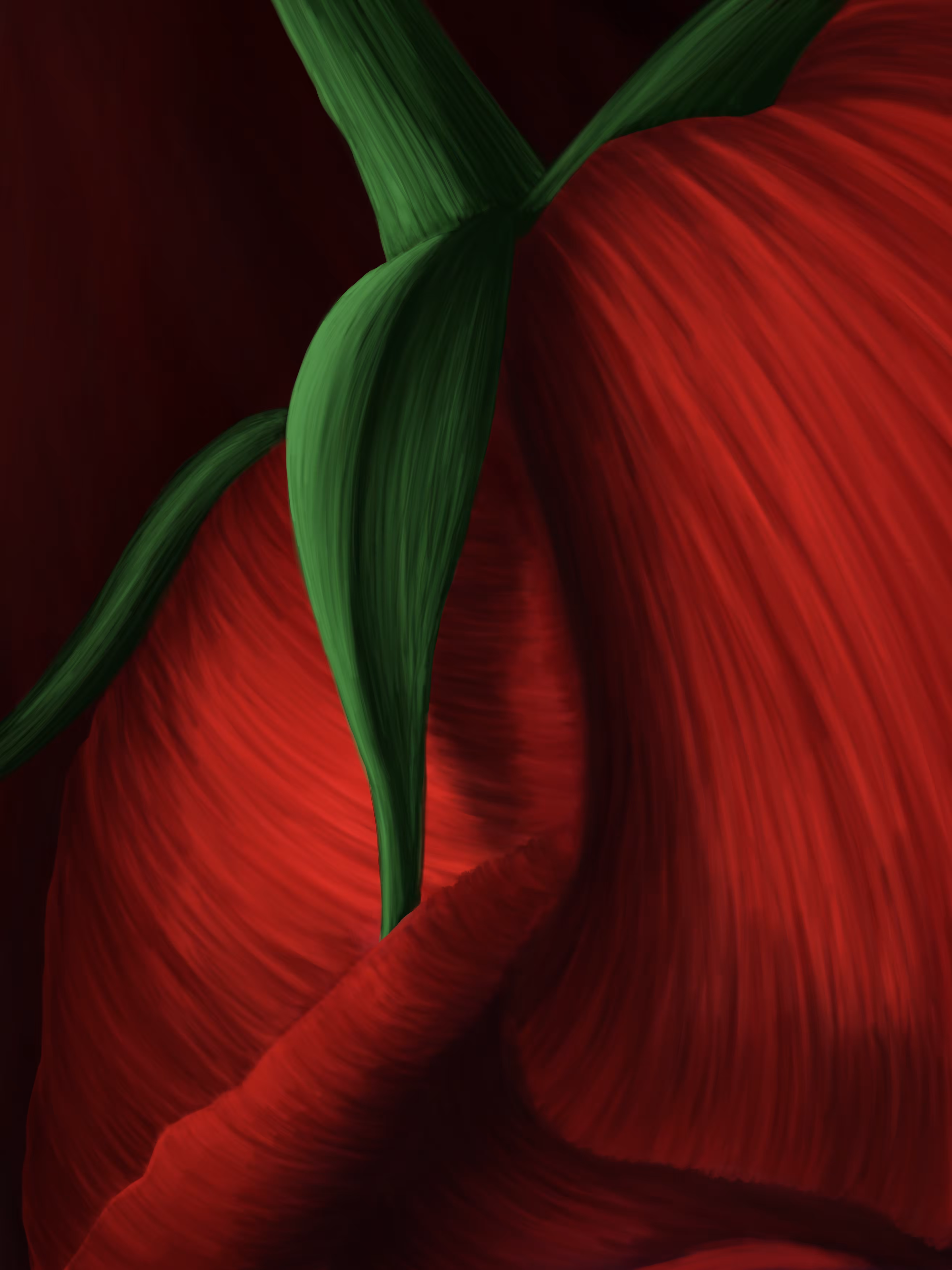 Petals Whisper