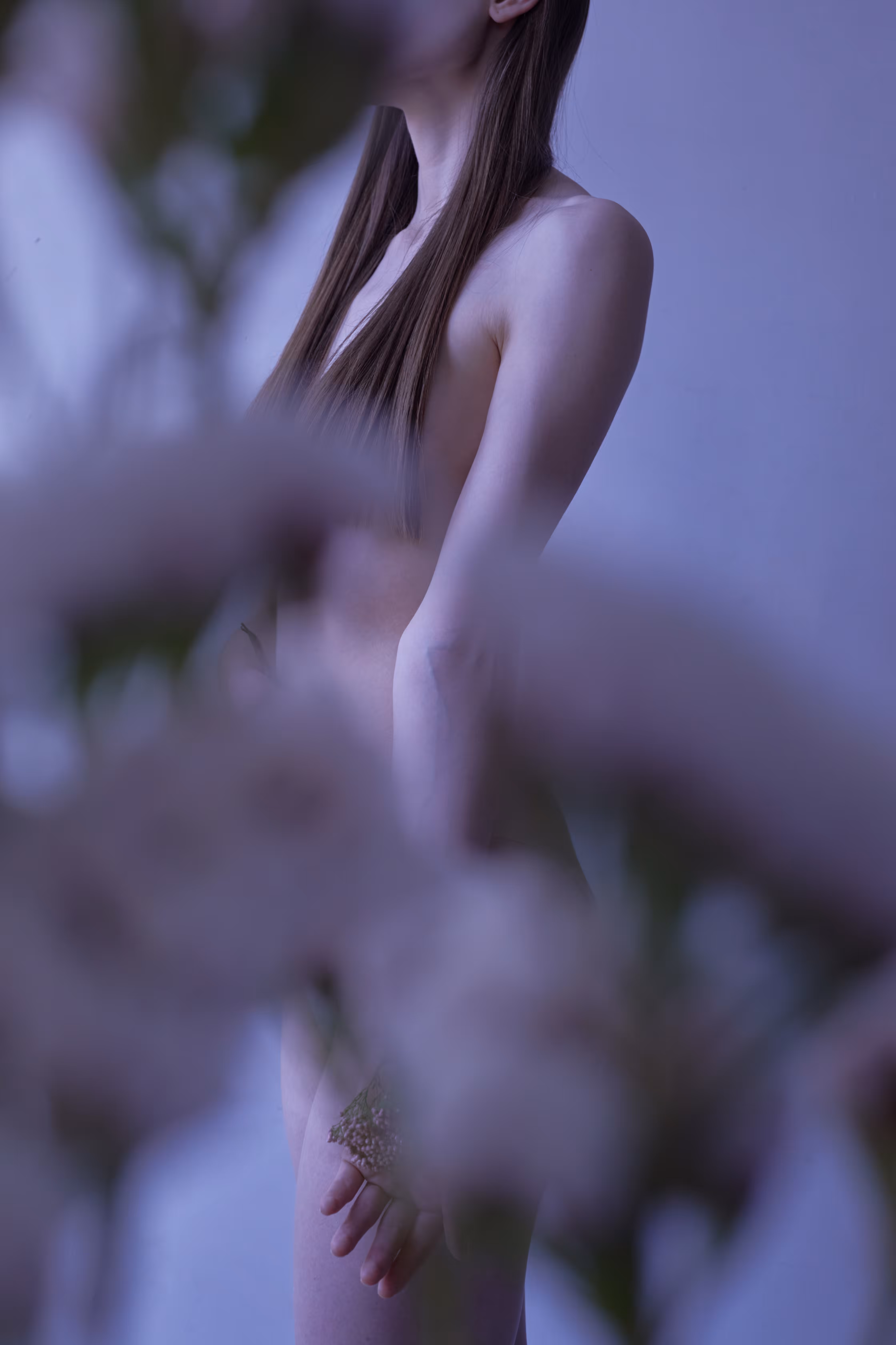 The Spring Is Coming #2