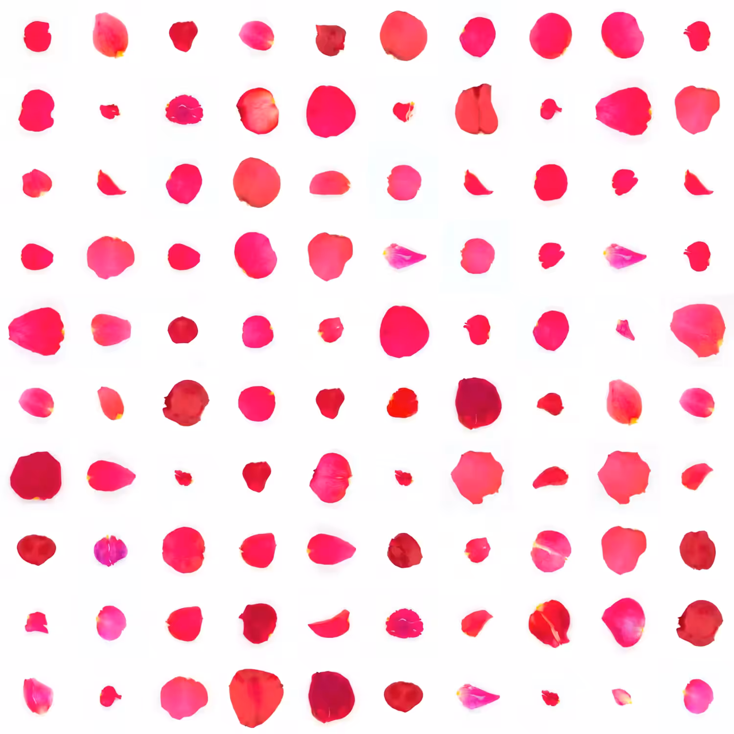Infinite Petals 10x10#1451