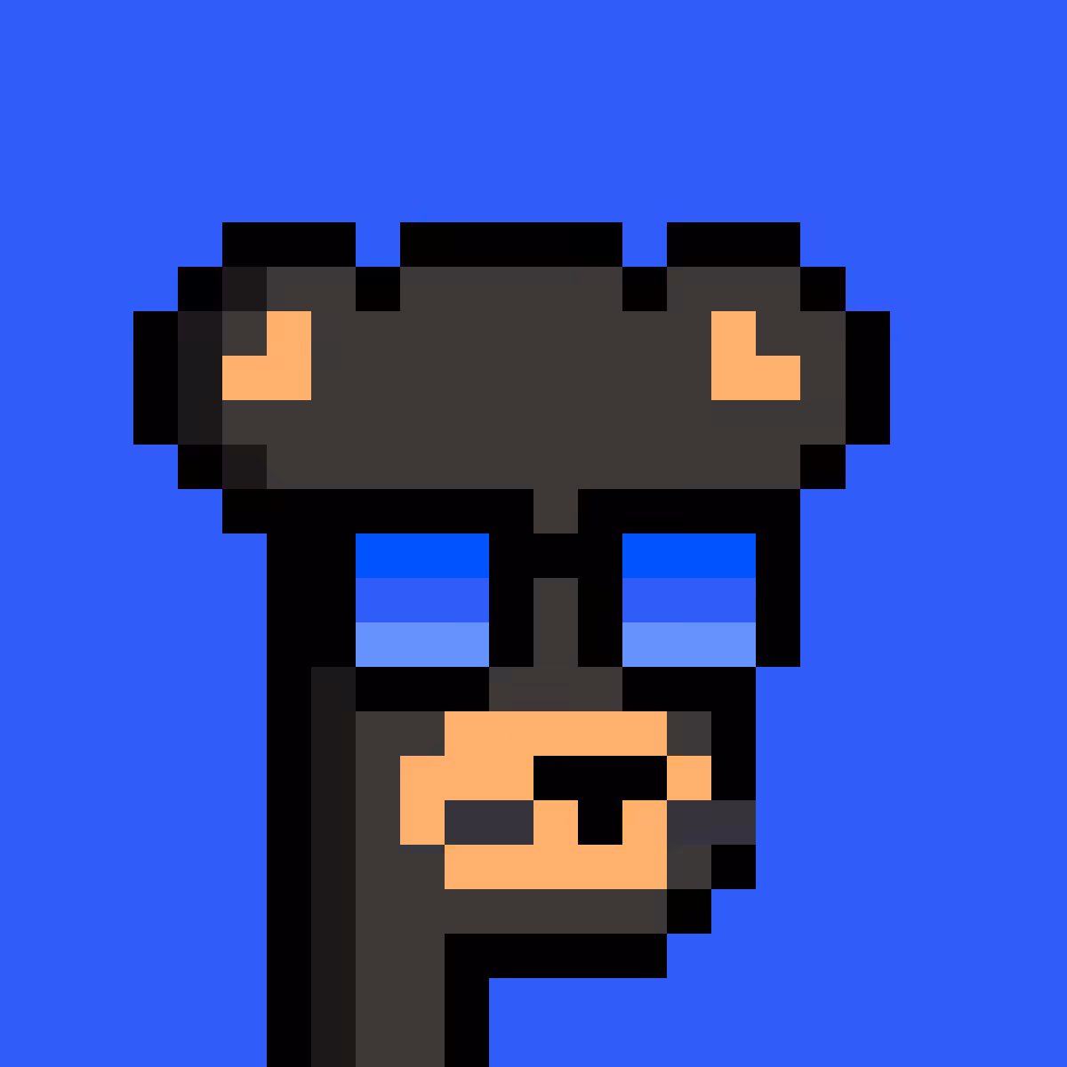 BearPunks #2205