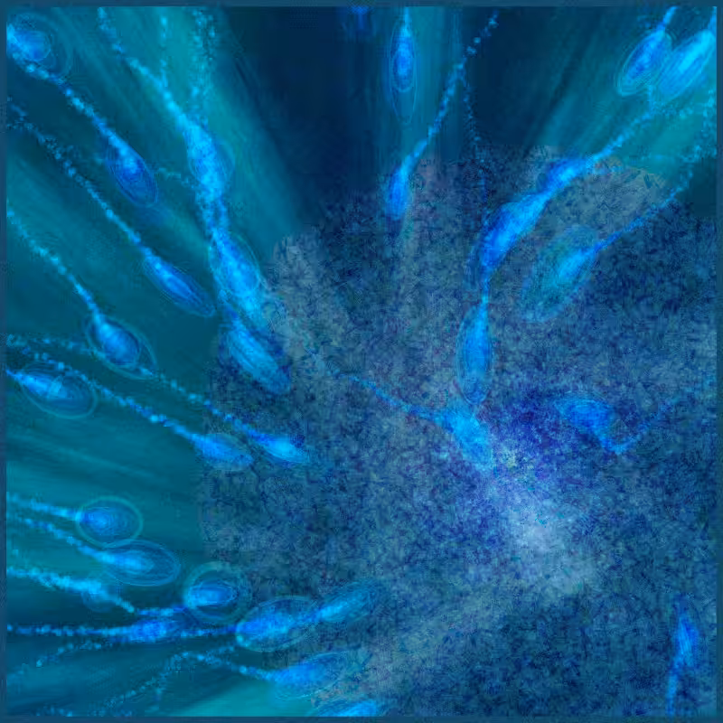 Crescendo #46