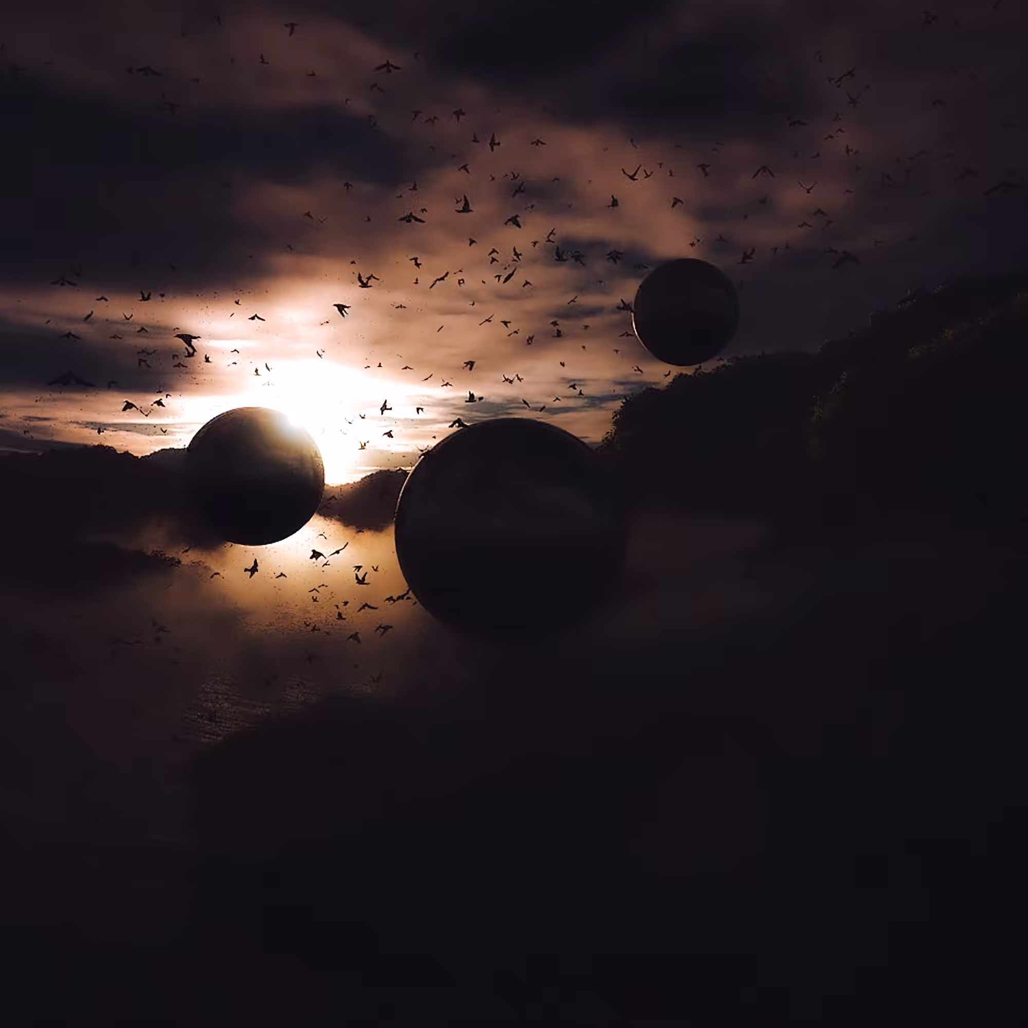 Lost in the Light