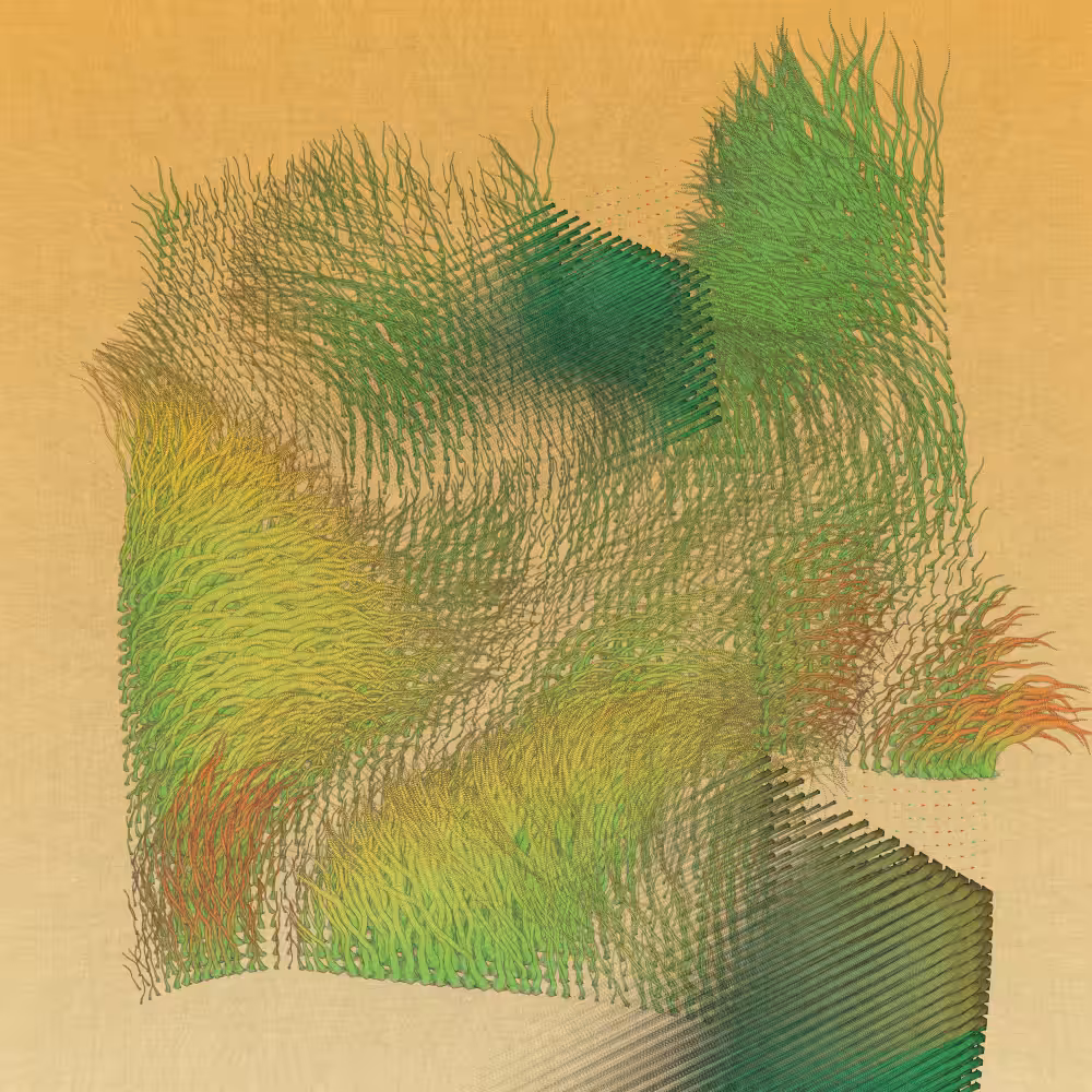FERAL #80