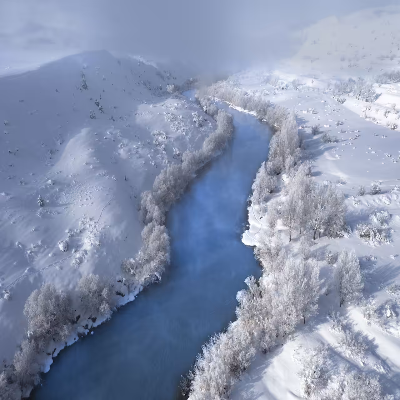 Winter Magic