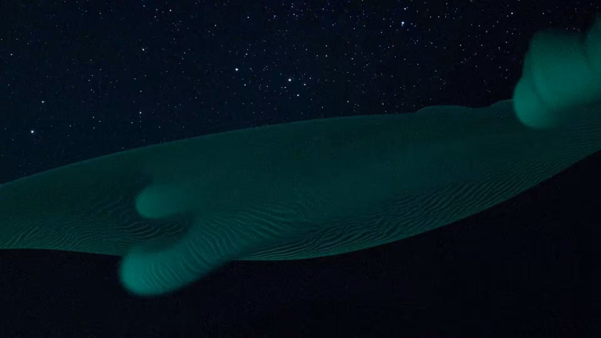 Floam World - The Call