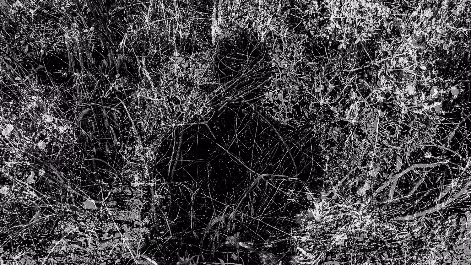 Diary of Pain: Abyss