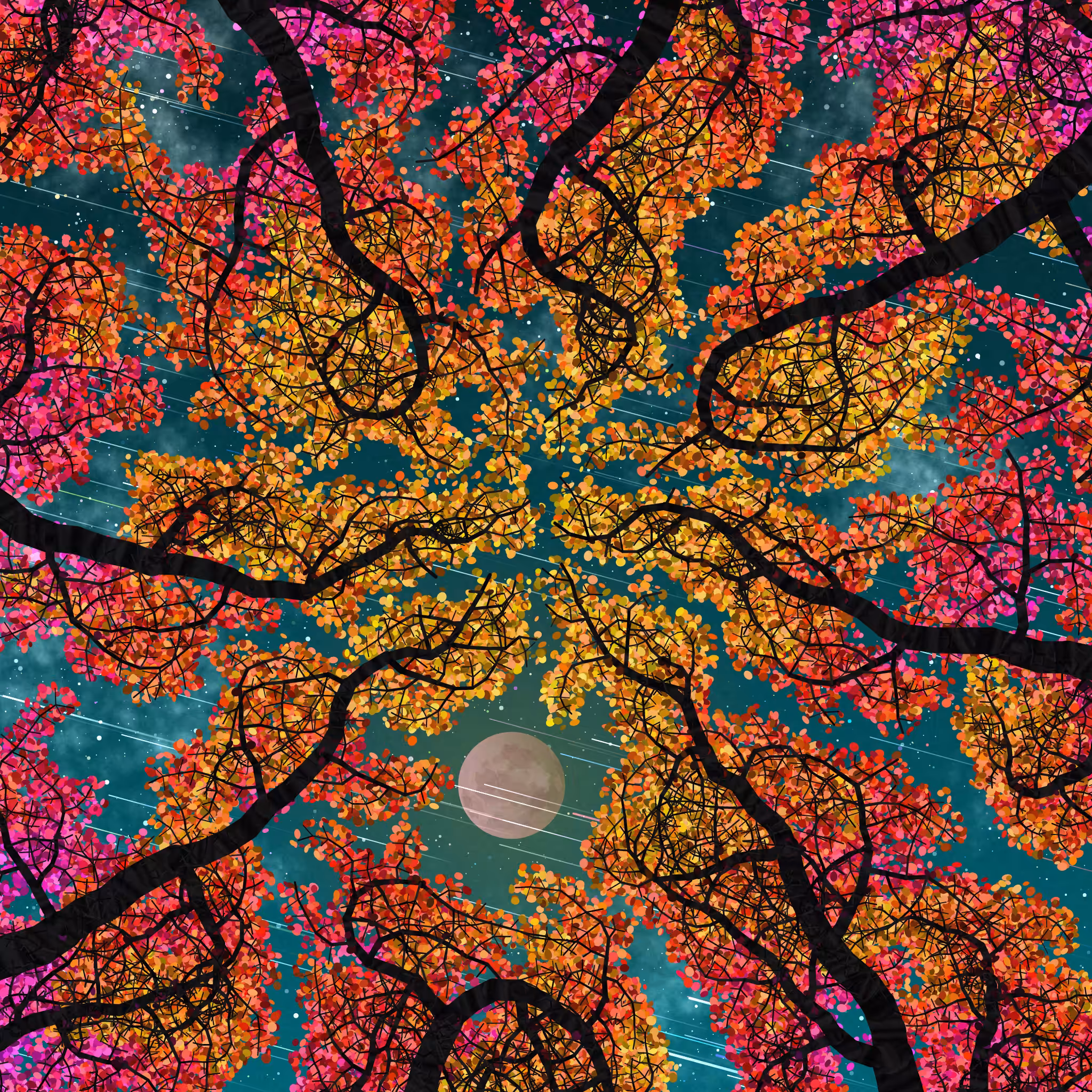 Tree Skyness #49