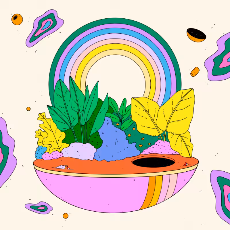 🌈🌴🪐 #232