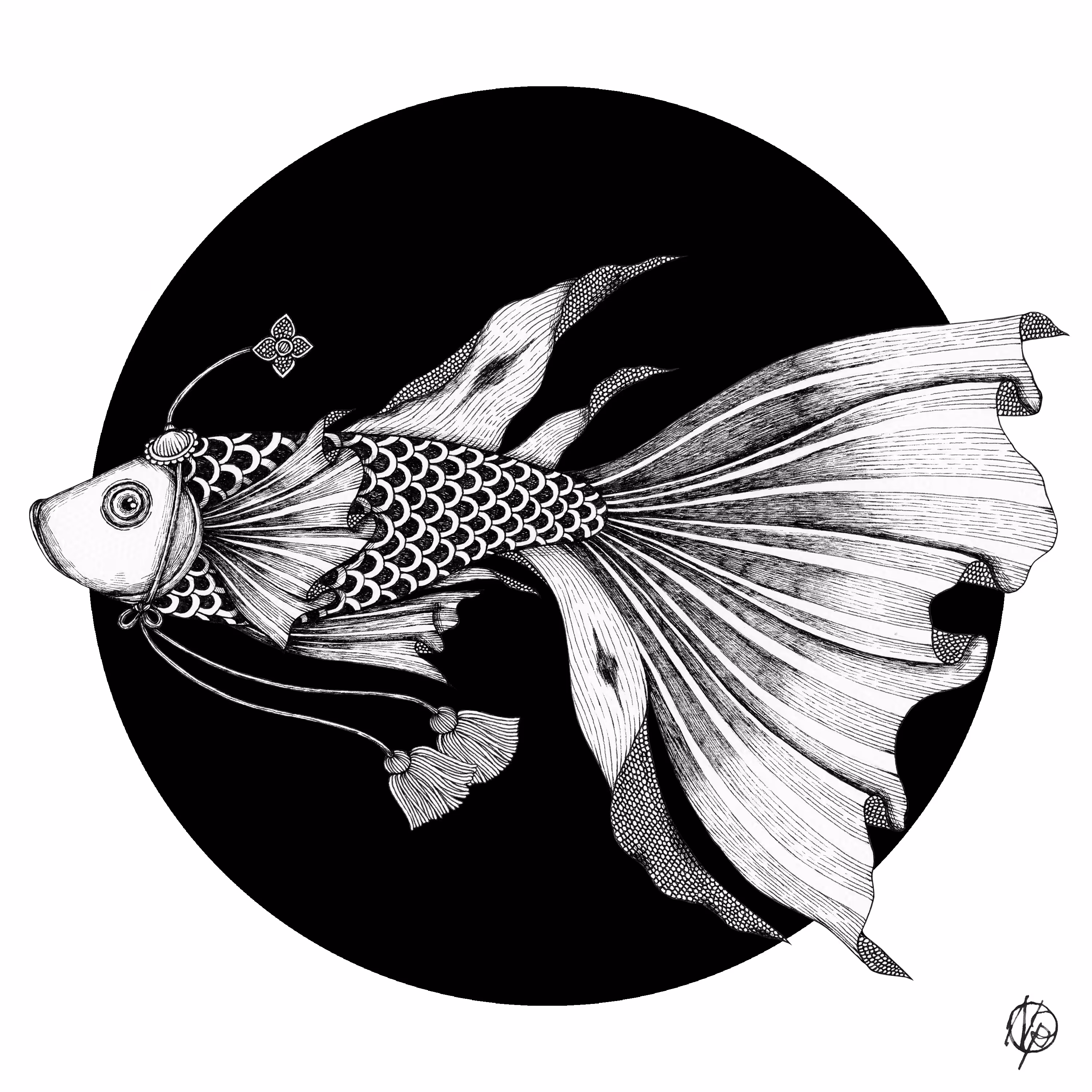Betta Black & White no.02
