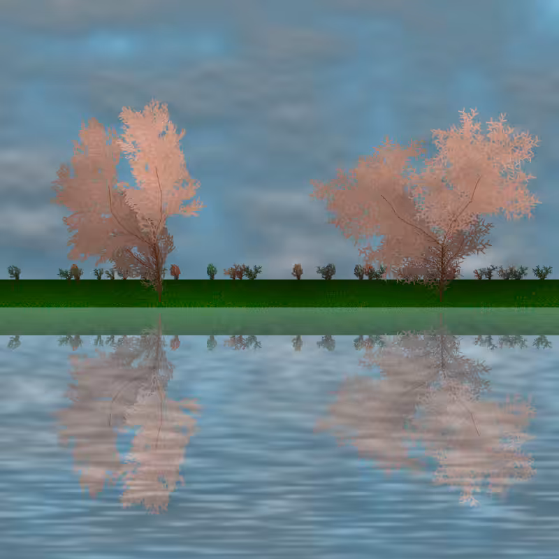 The dancing grove #36