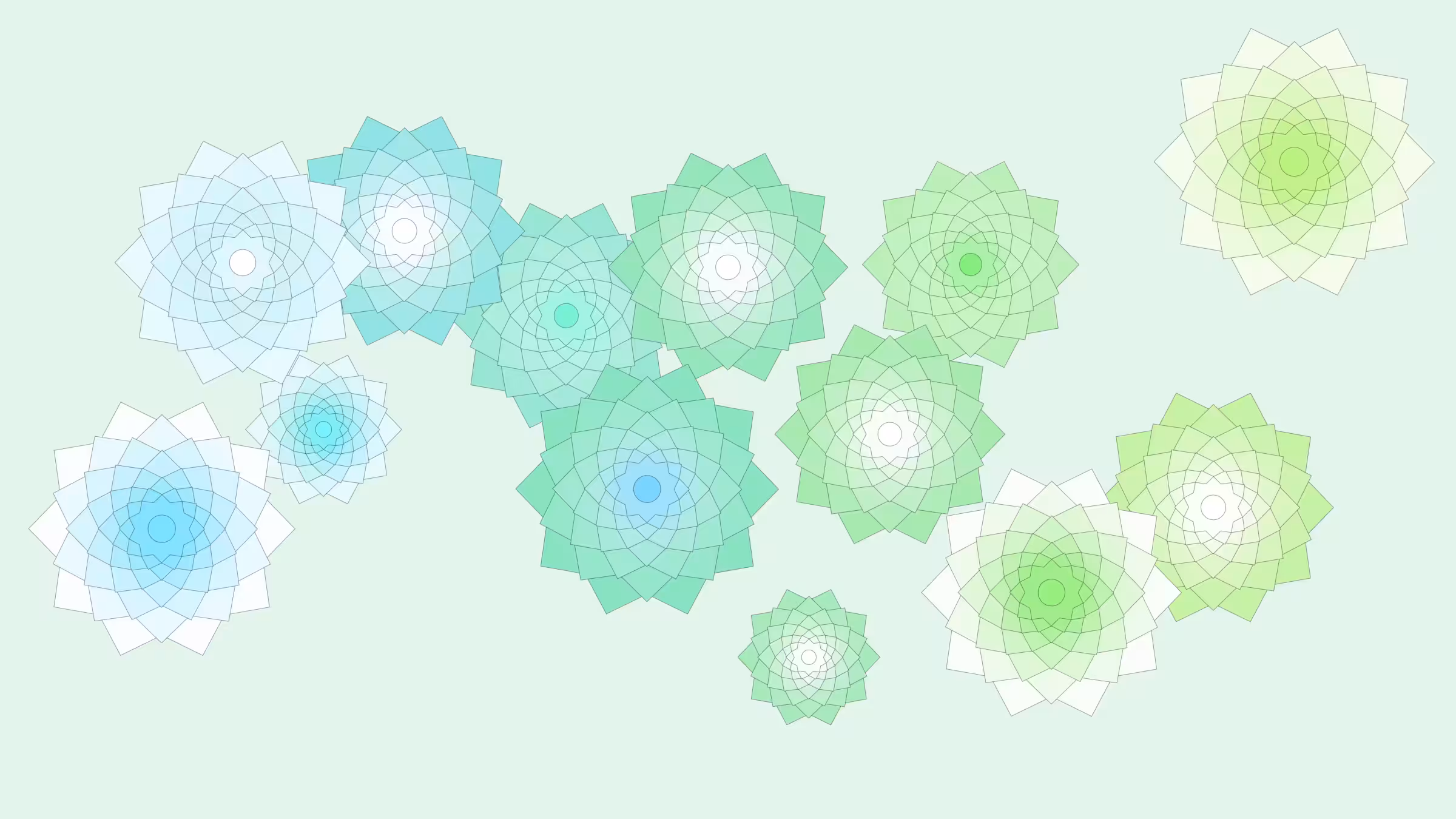 Schema #224