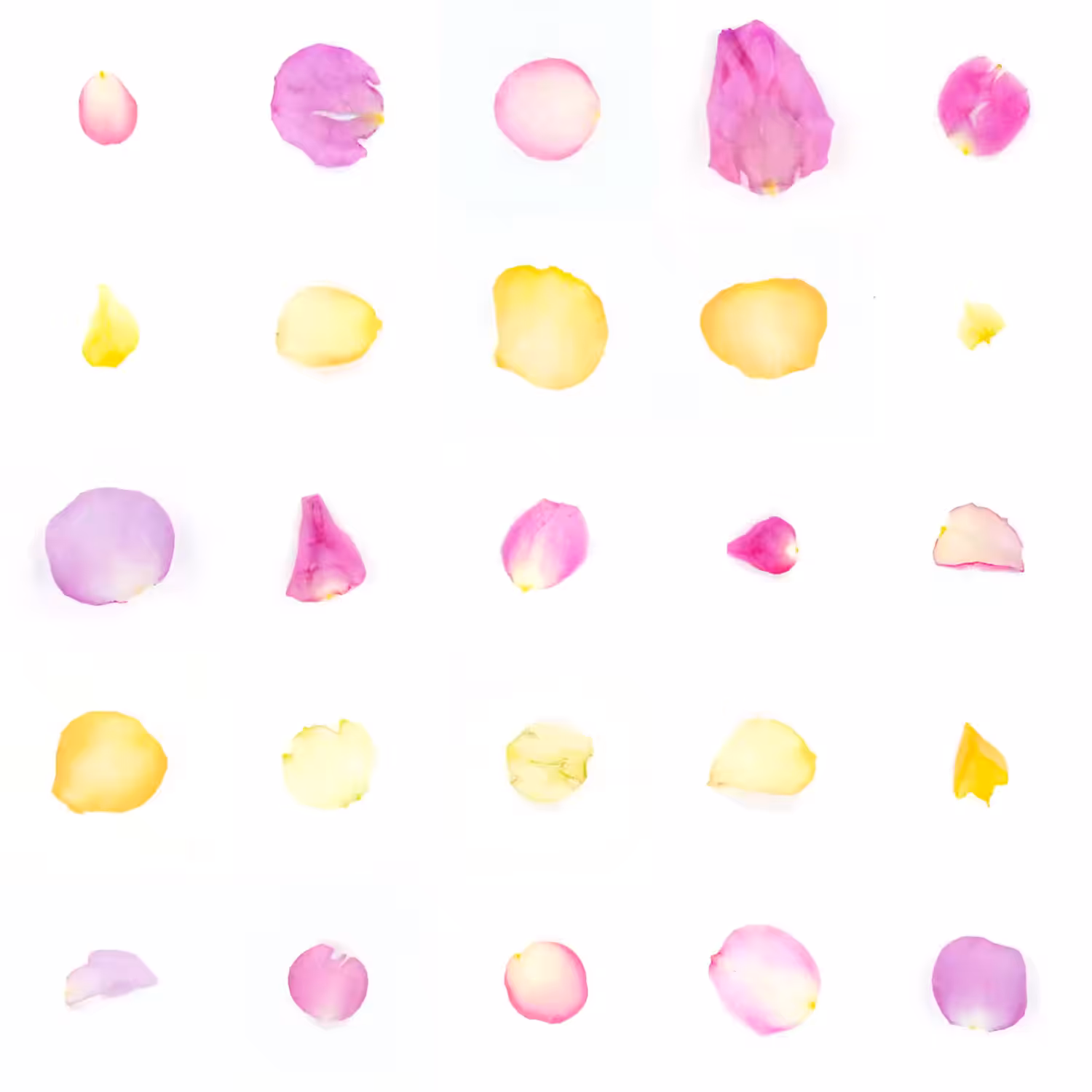 Infinite Petals 5x5#20457