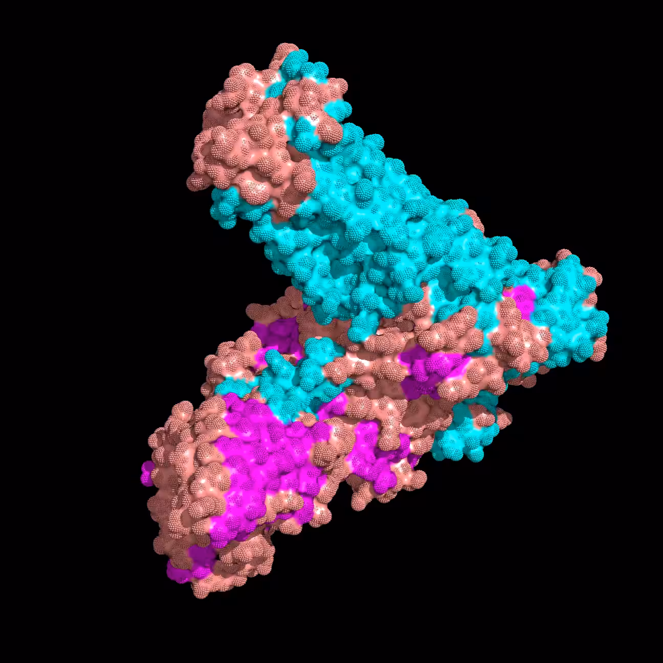 Cannabinoid Receptor-Gi Complex purple bud