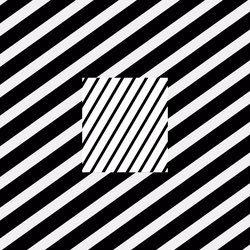 Chromatic dazzle #296