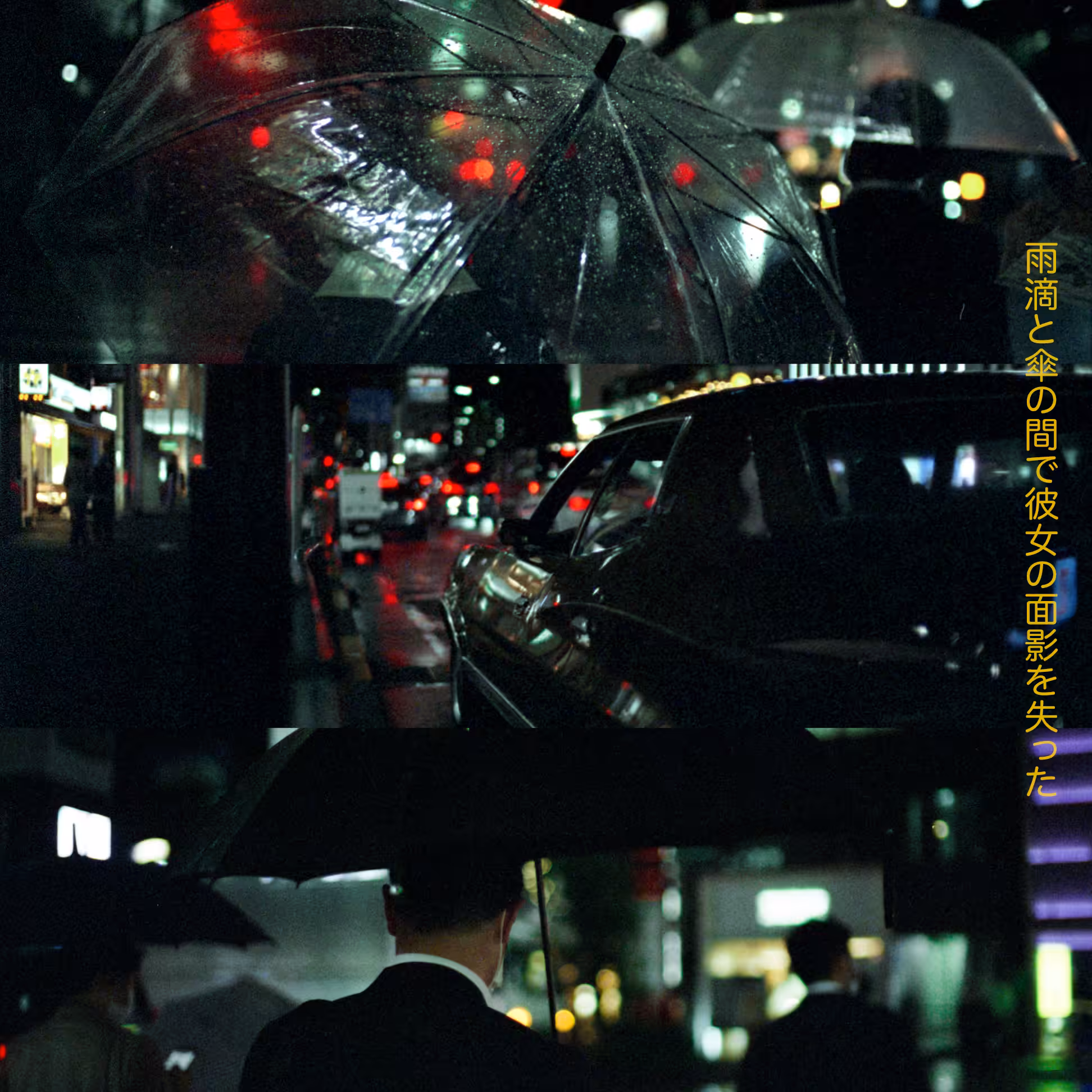 Sea of Raindrops | 雨滴の海