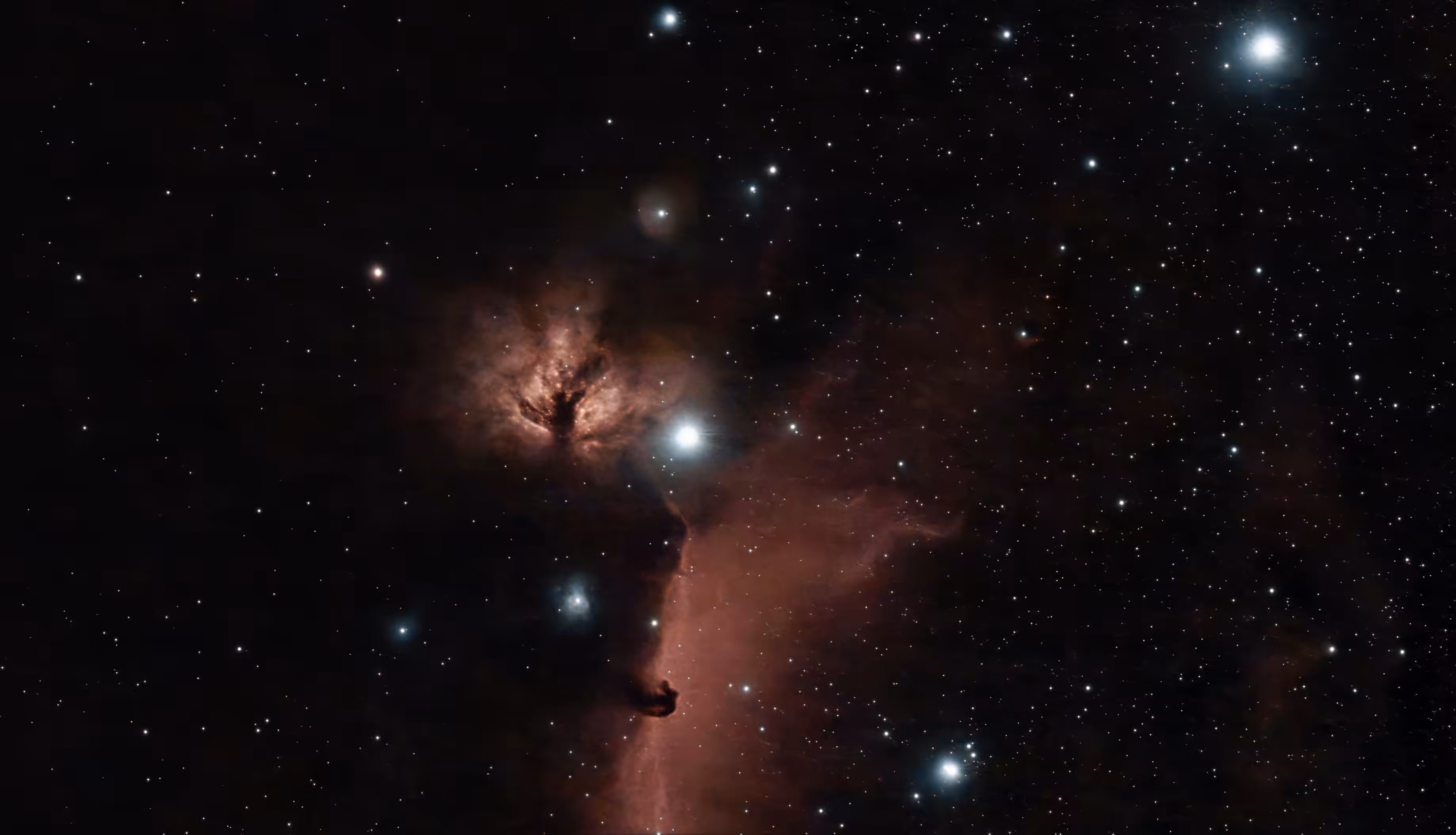astro: horsehead 20251020