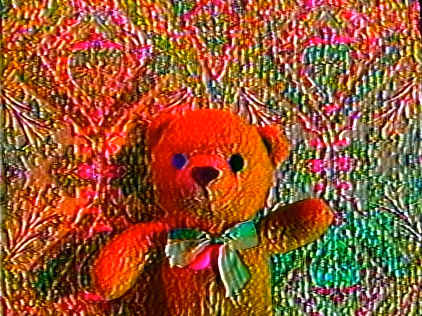 bear