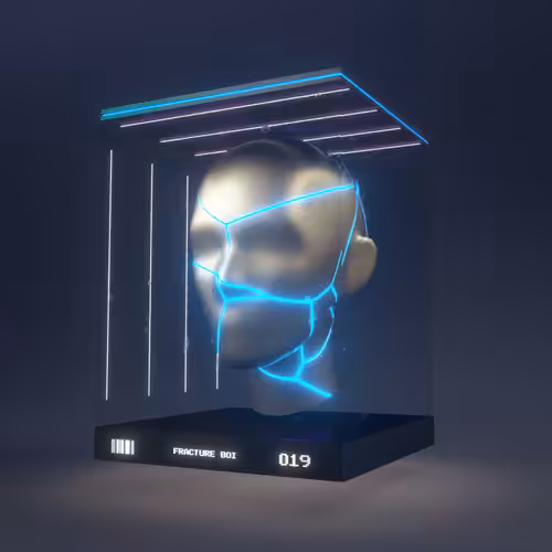 FRACTURE BOI - 019