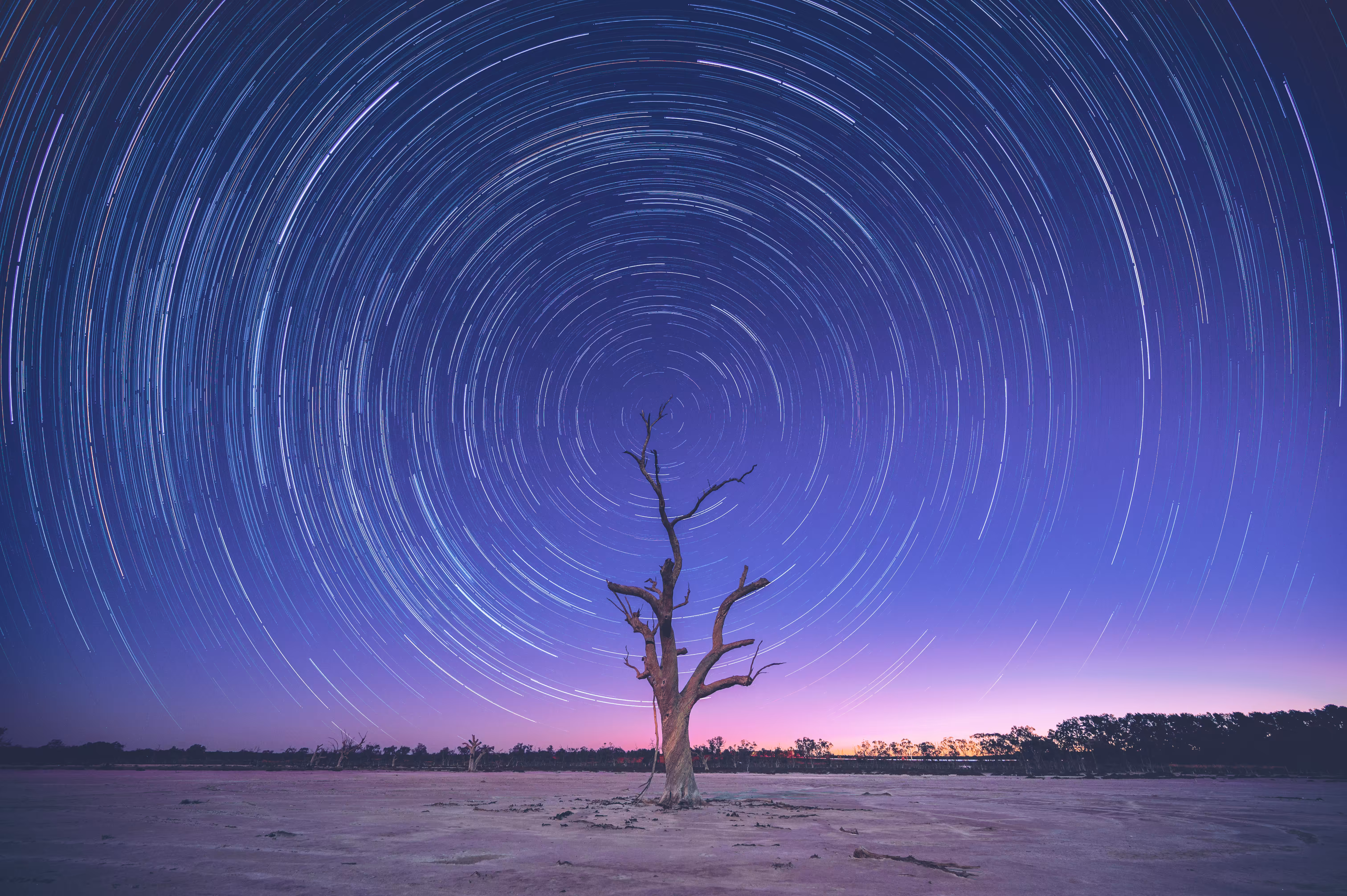 Star Trail Twilight