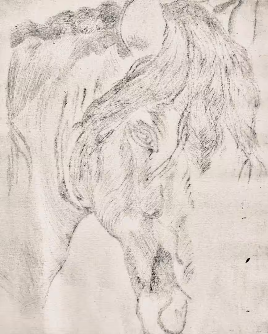 horse