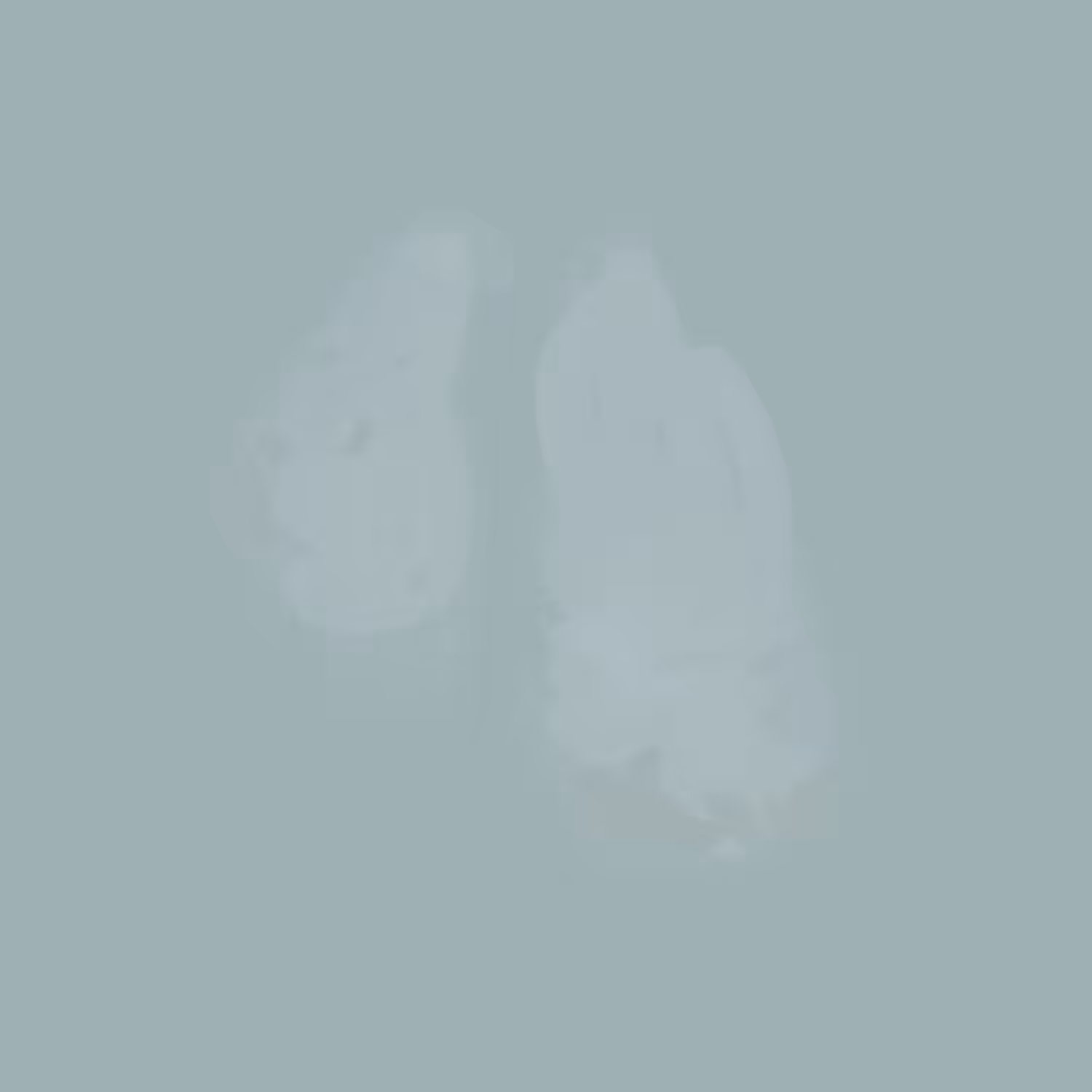 lungs