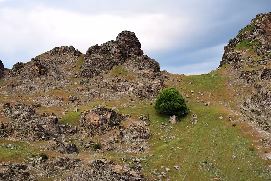 Green loneliness