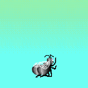 Open Editions: Big Ass Fly