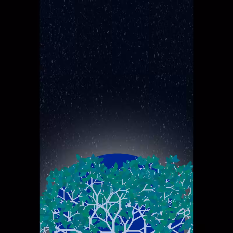 Moonlight Sonata #114
