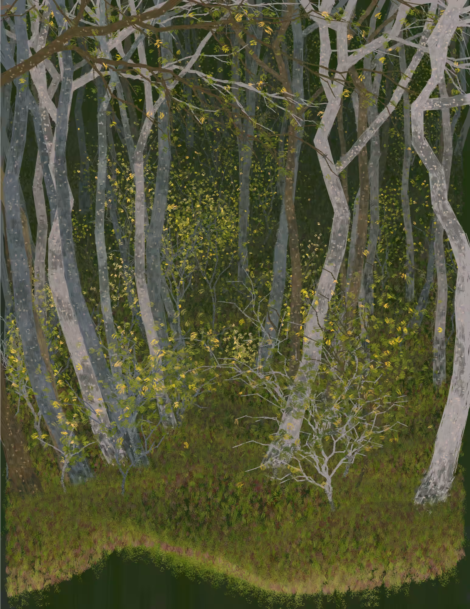 Deep Forest #95