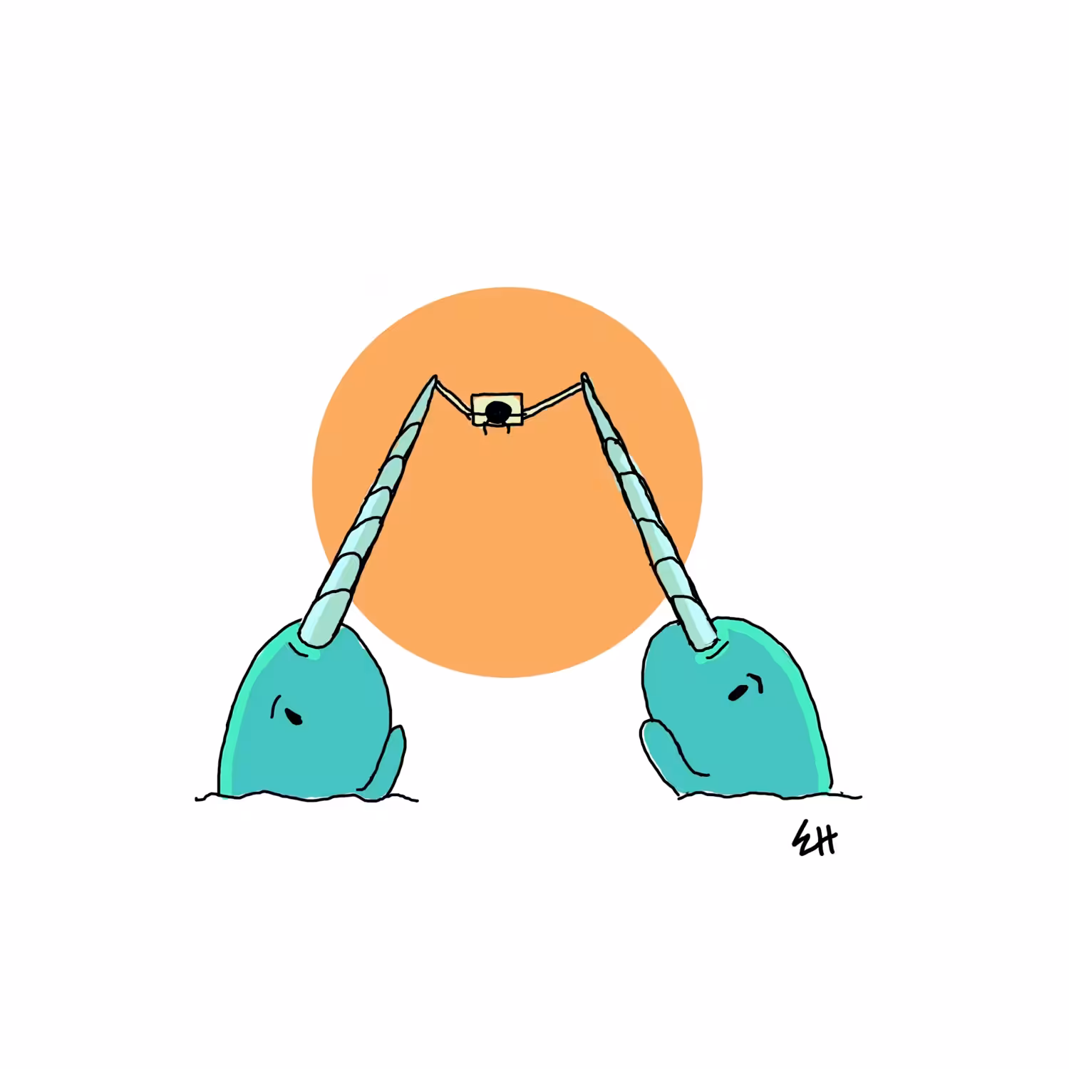 Narwhal Harmony