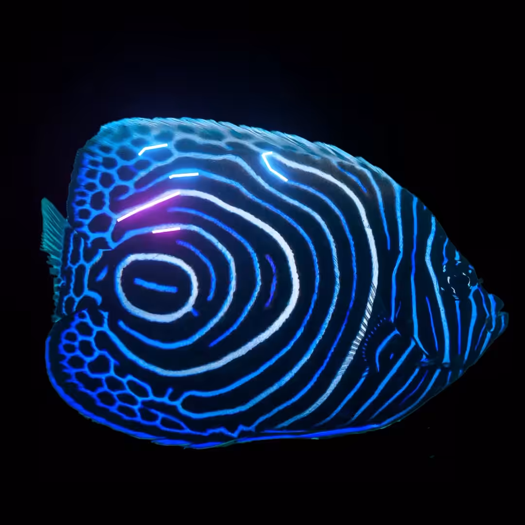 NEON FISH