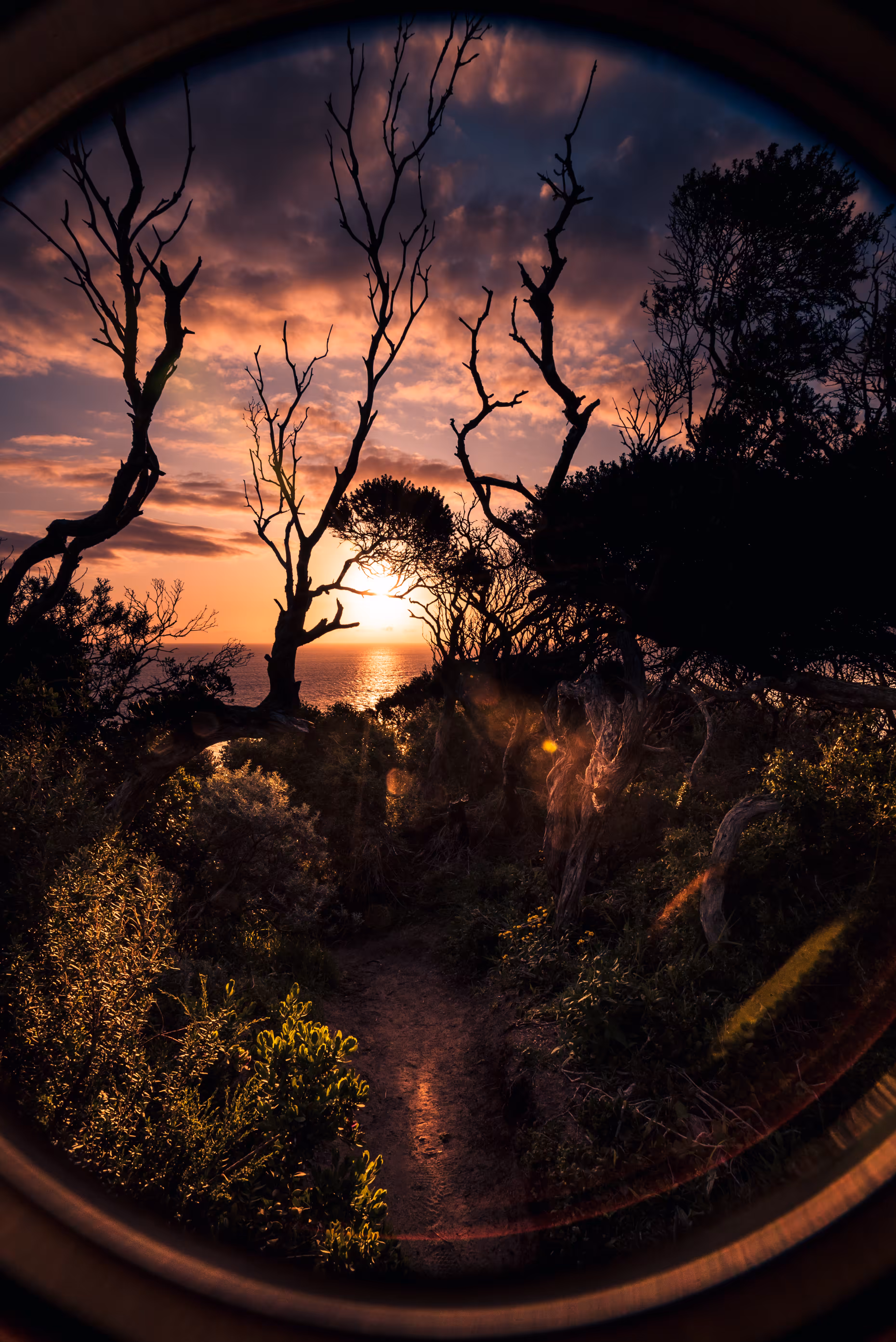 CapeSchanck Sunset Through My Lens