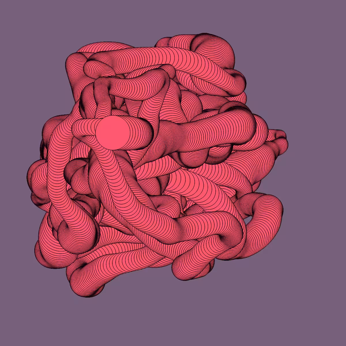 TWIST #24