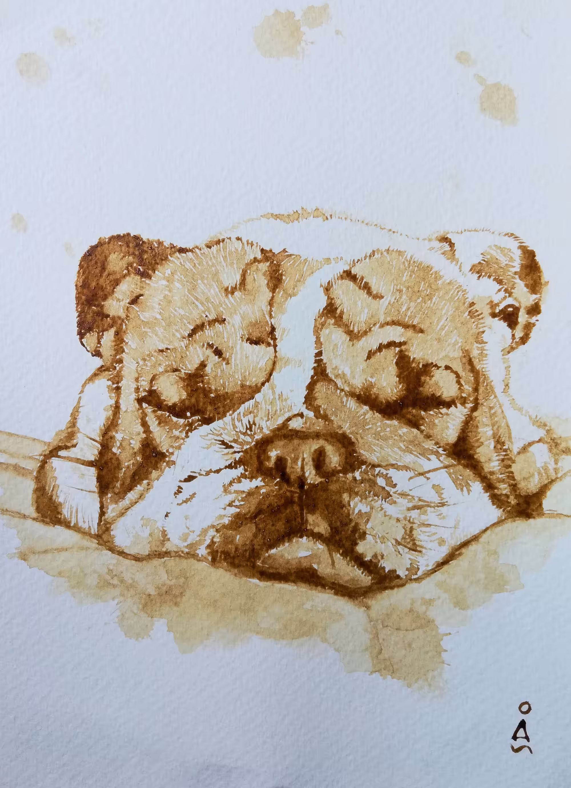 Sleeping Dog_Coffee painting