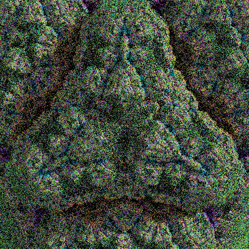 Lichenoid forms #3