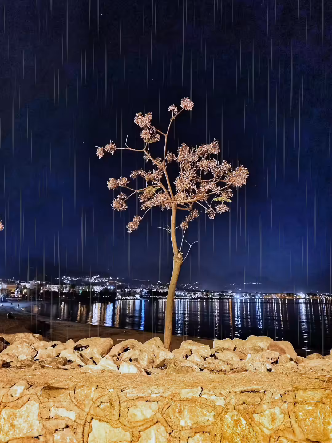The Rain Waltz