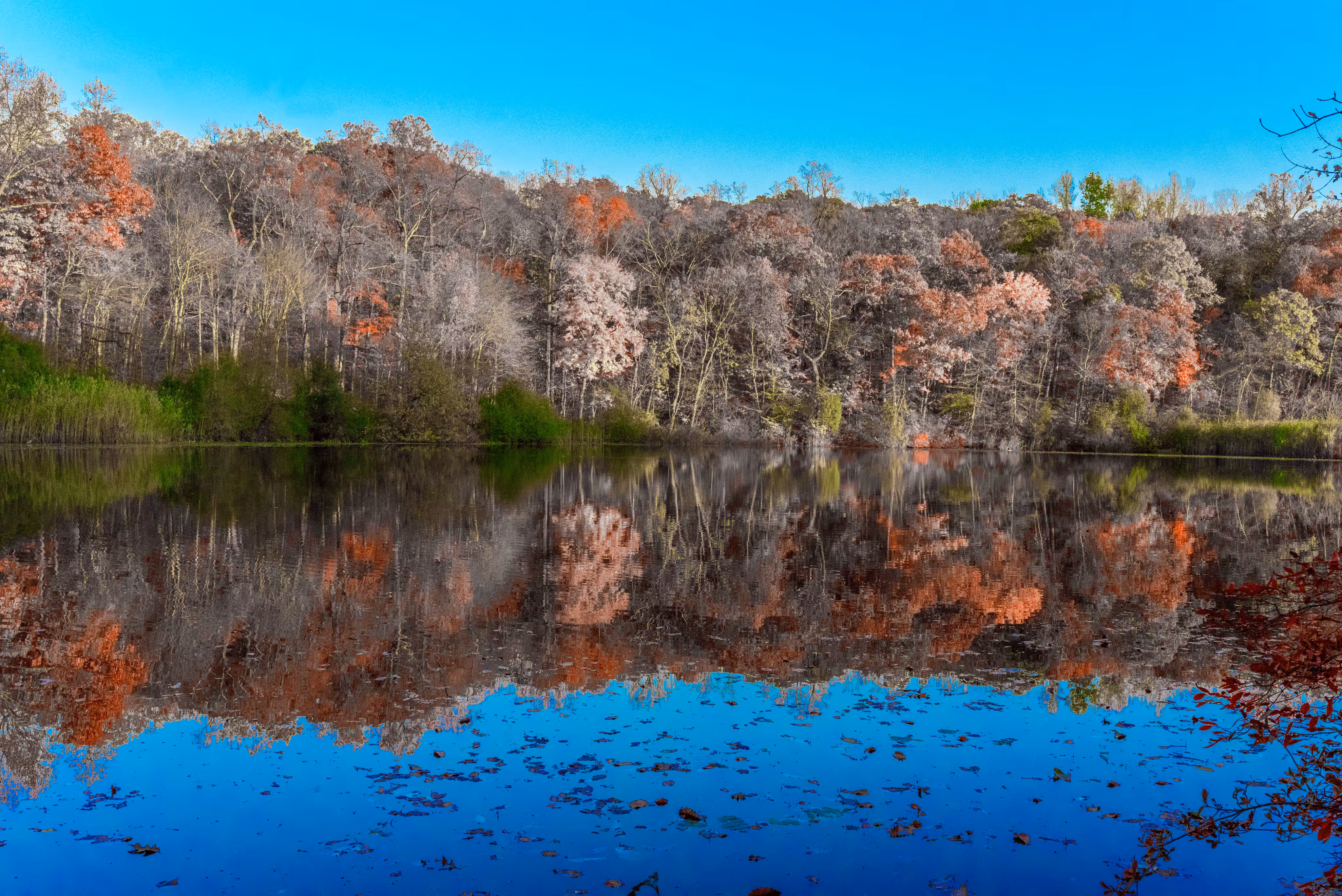 Colorful Reflections 2