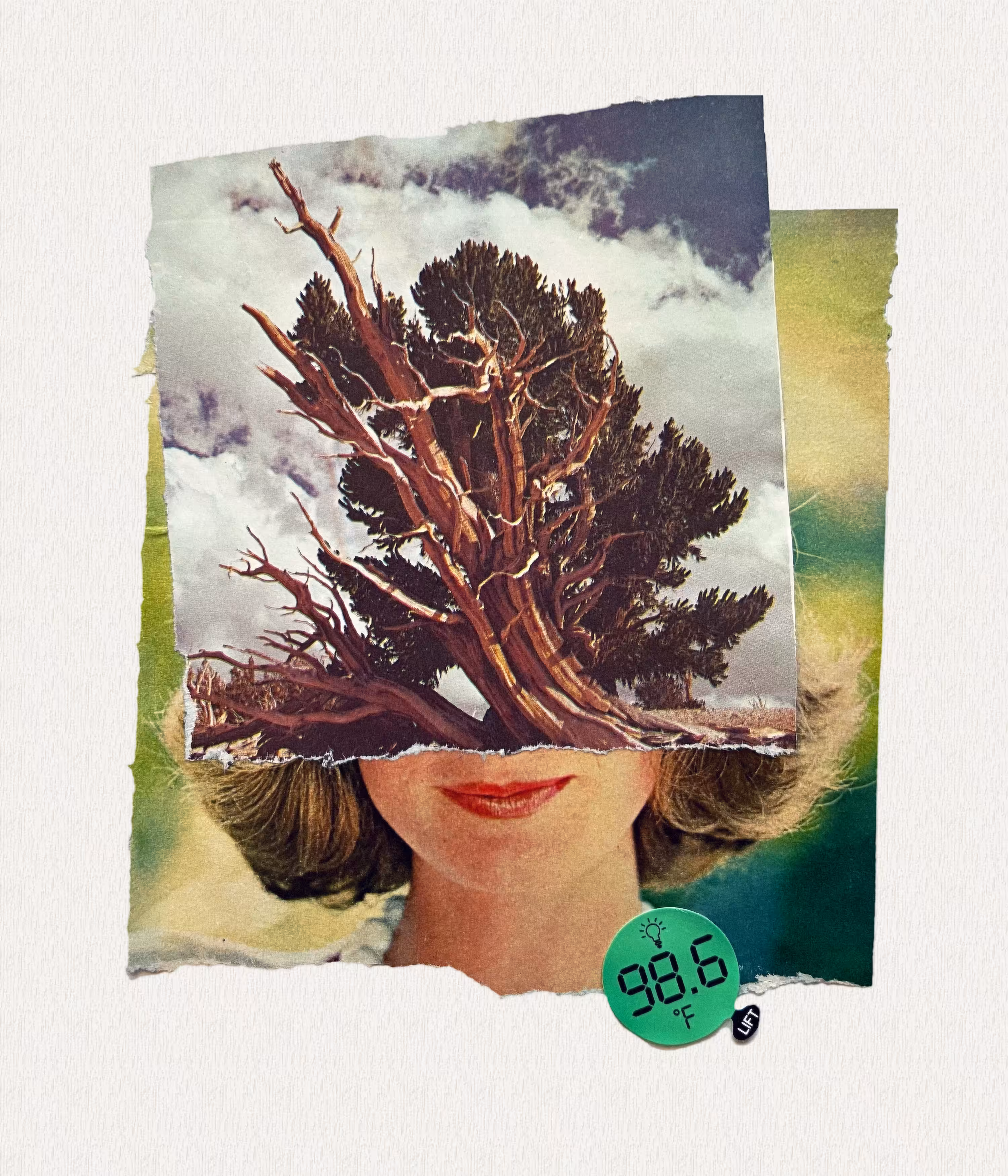 Rooted
