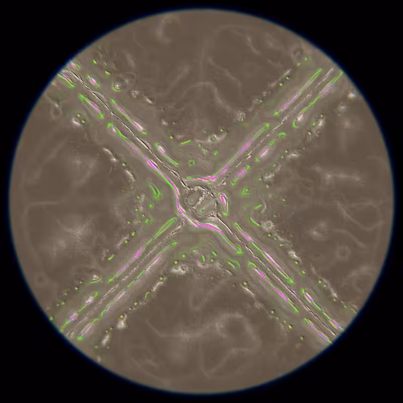 Ethereal Microcosm #93