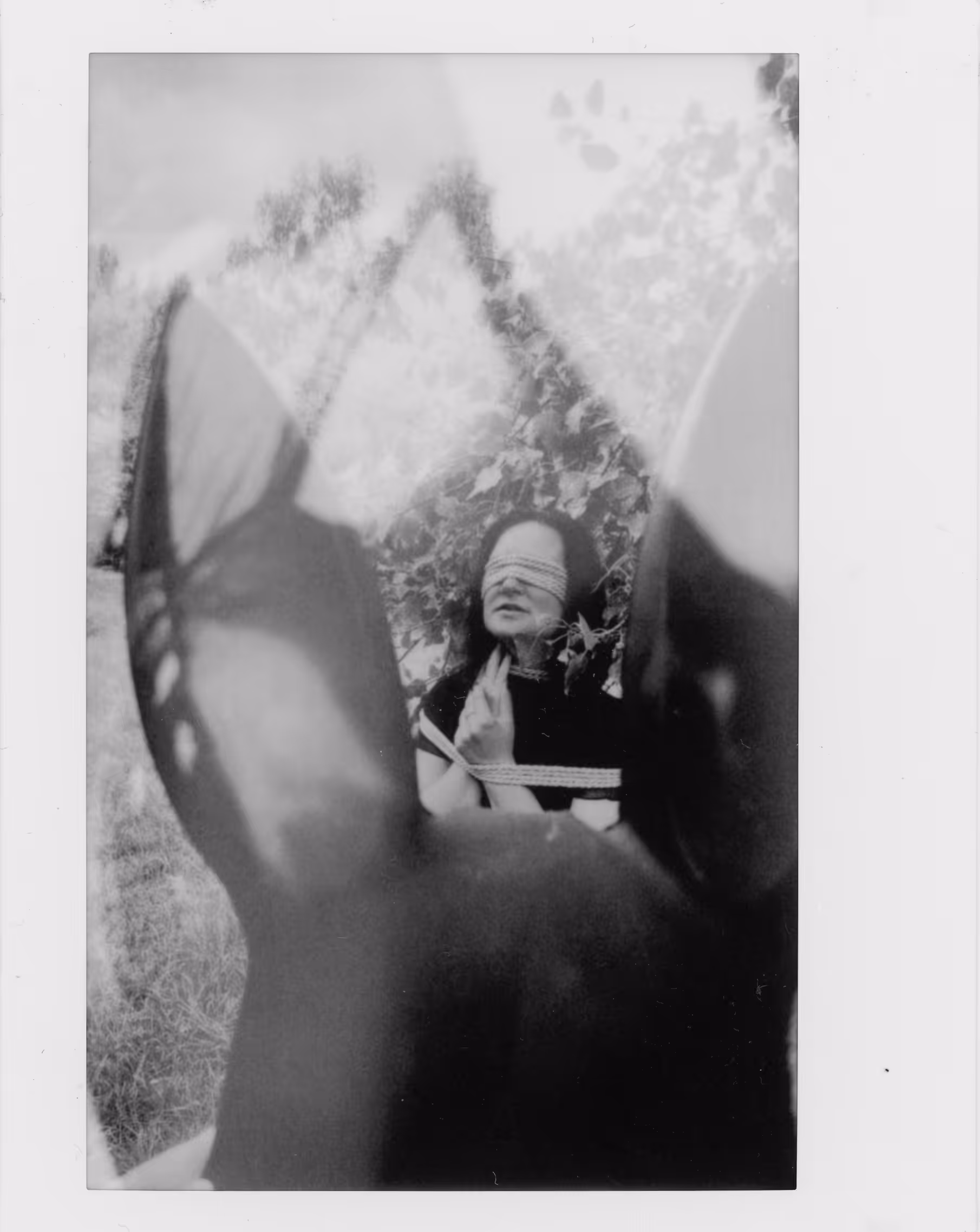 Noir shibari bunny instax wide 