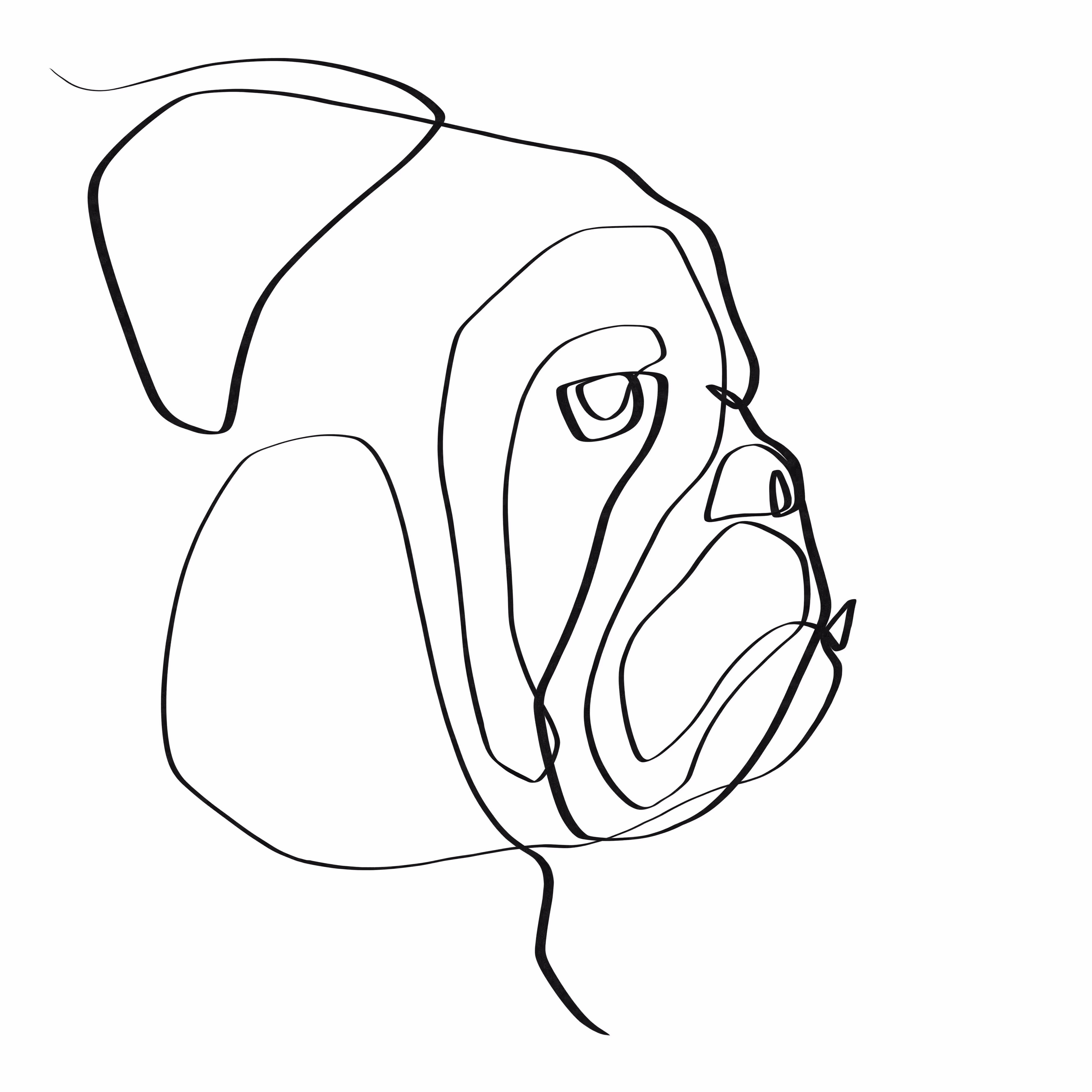 English bulldog one line art #6