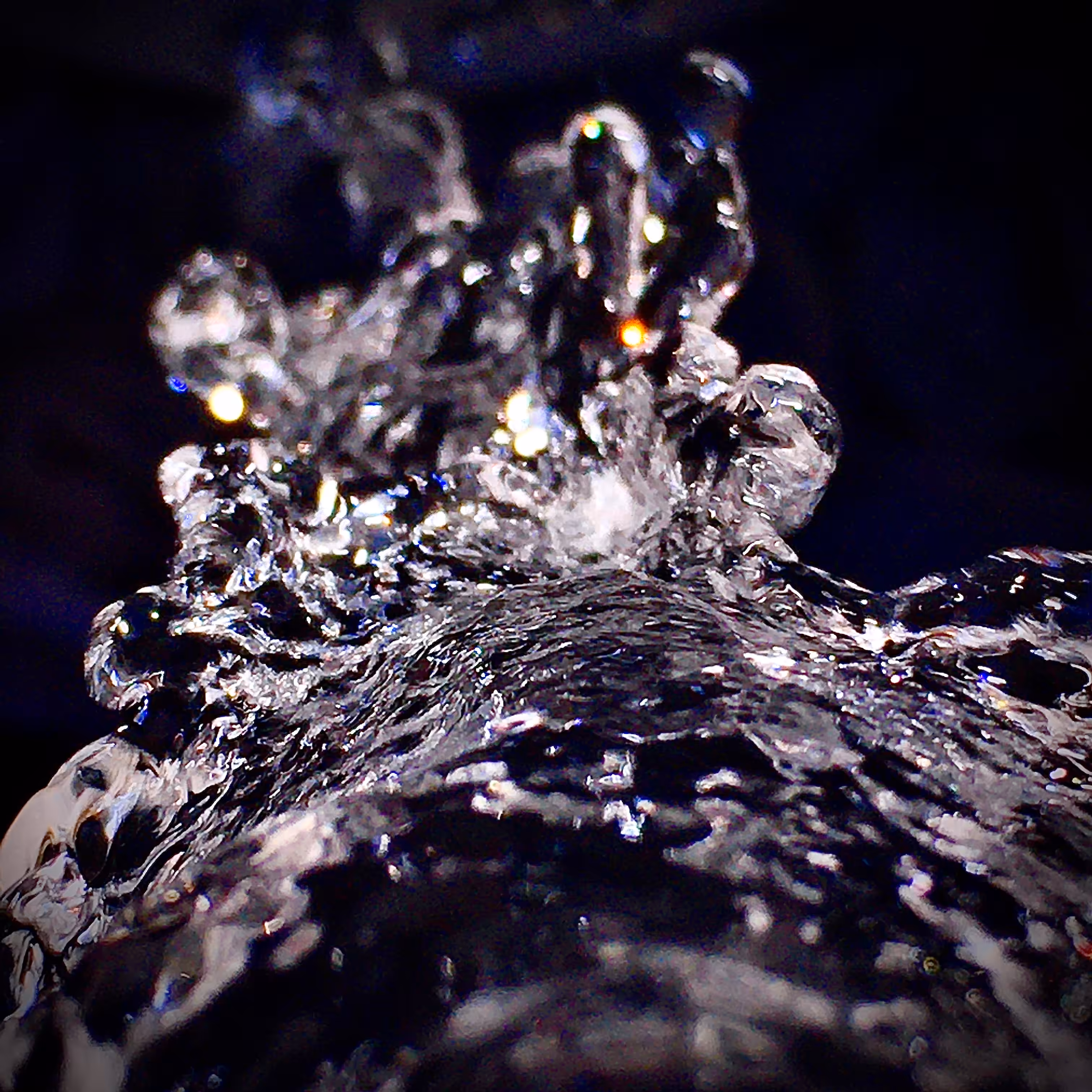 lifeDYNAMICS 8/15