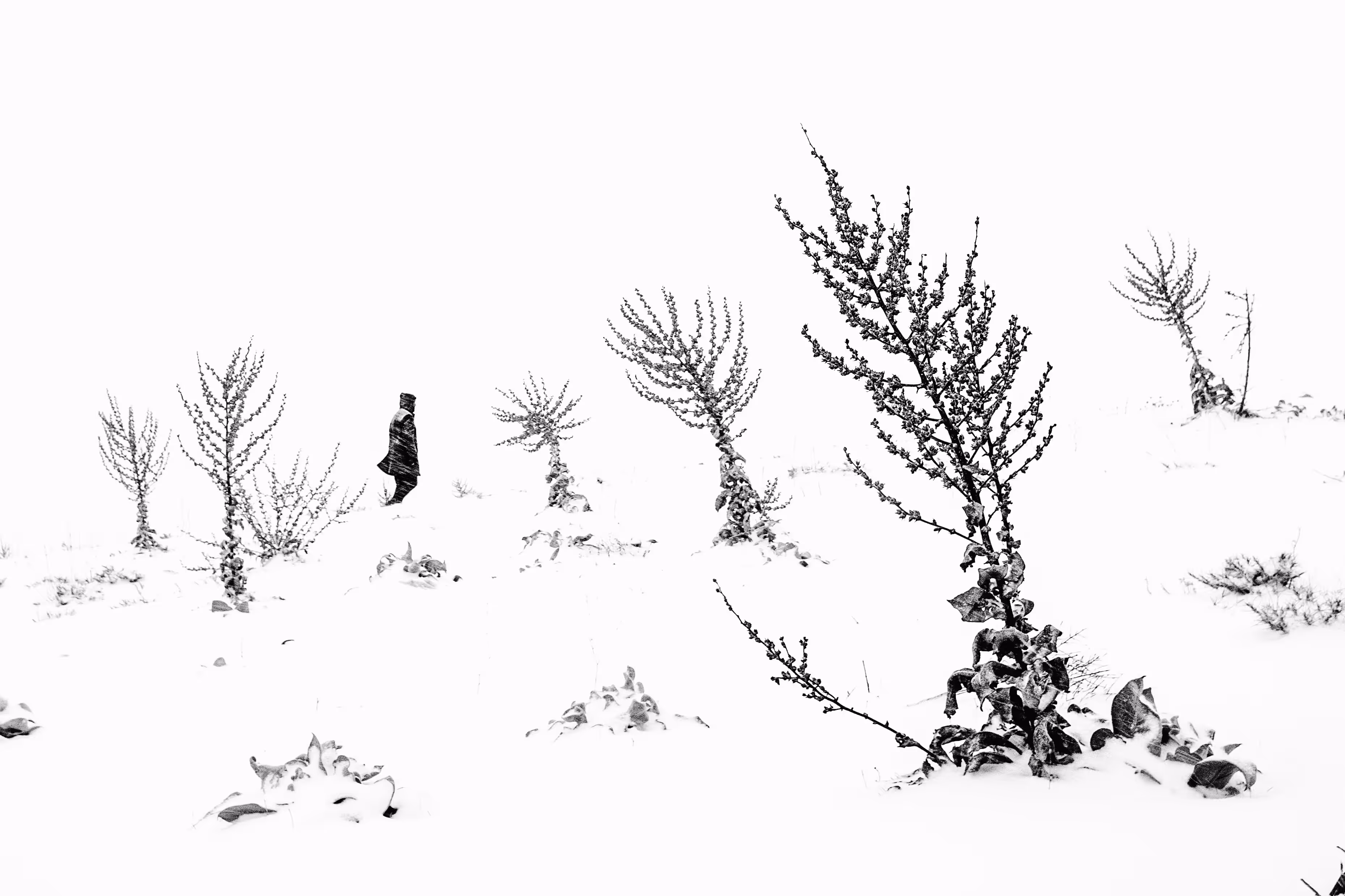 Oneperson-no.5