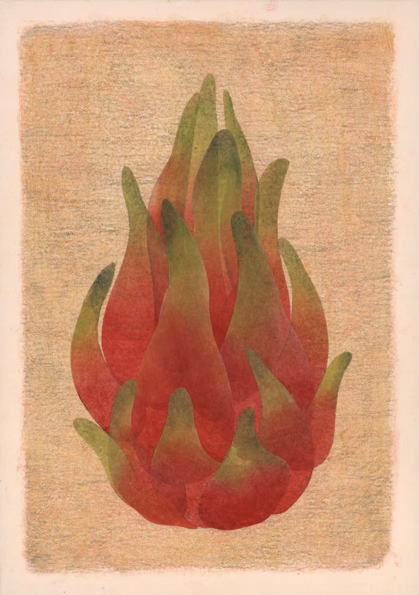 The dragon fruit therapy 2