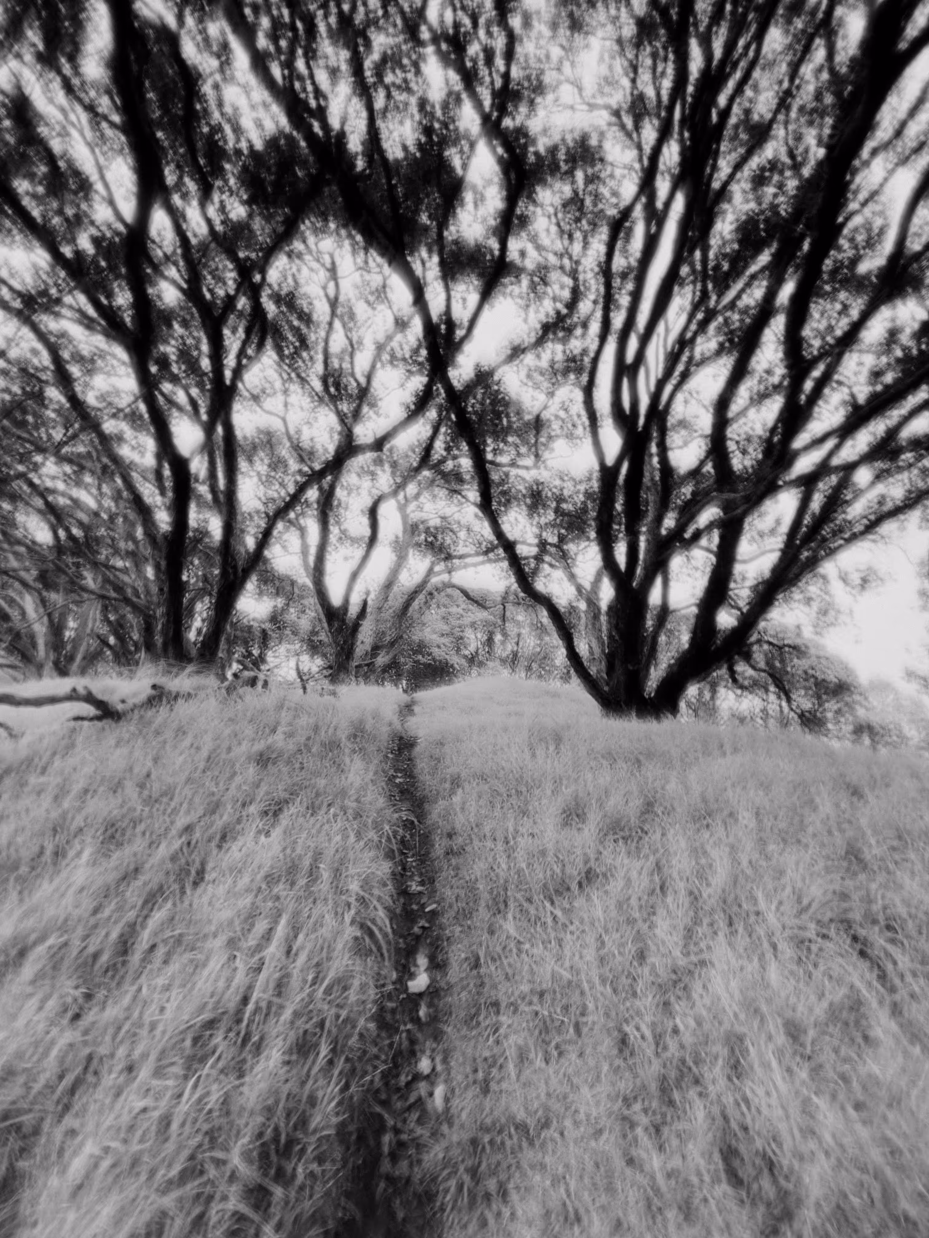 Follow The Path