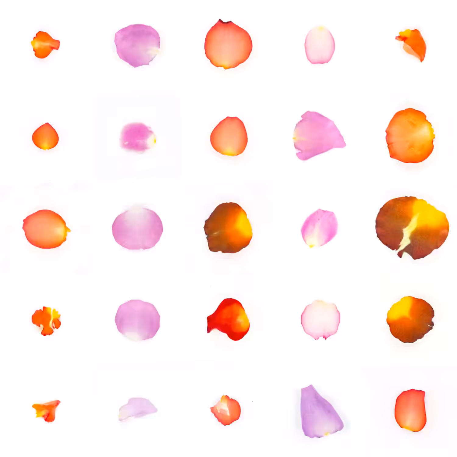 Infinite Petals 5x5#22113