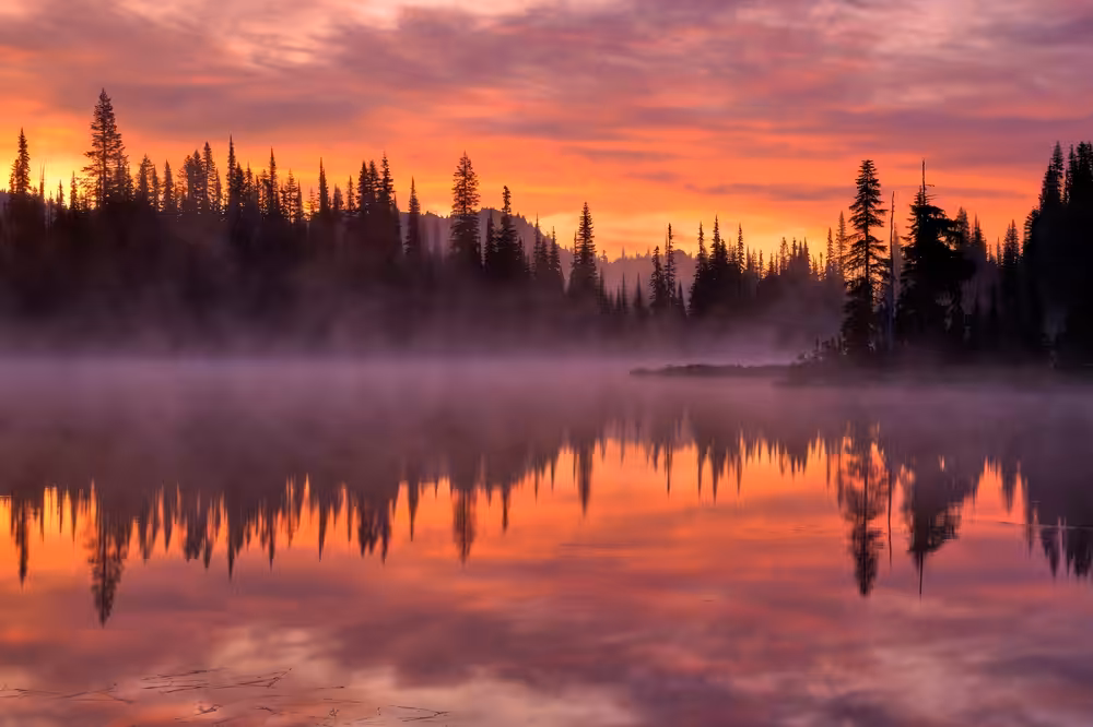 Morning Fire