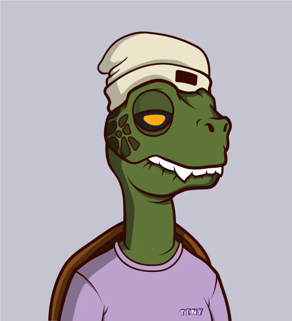 Tiny Turtle 114