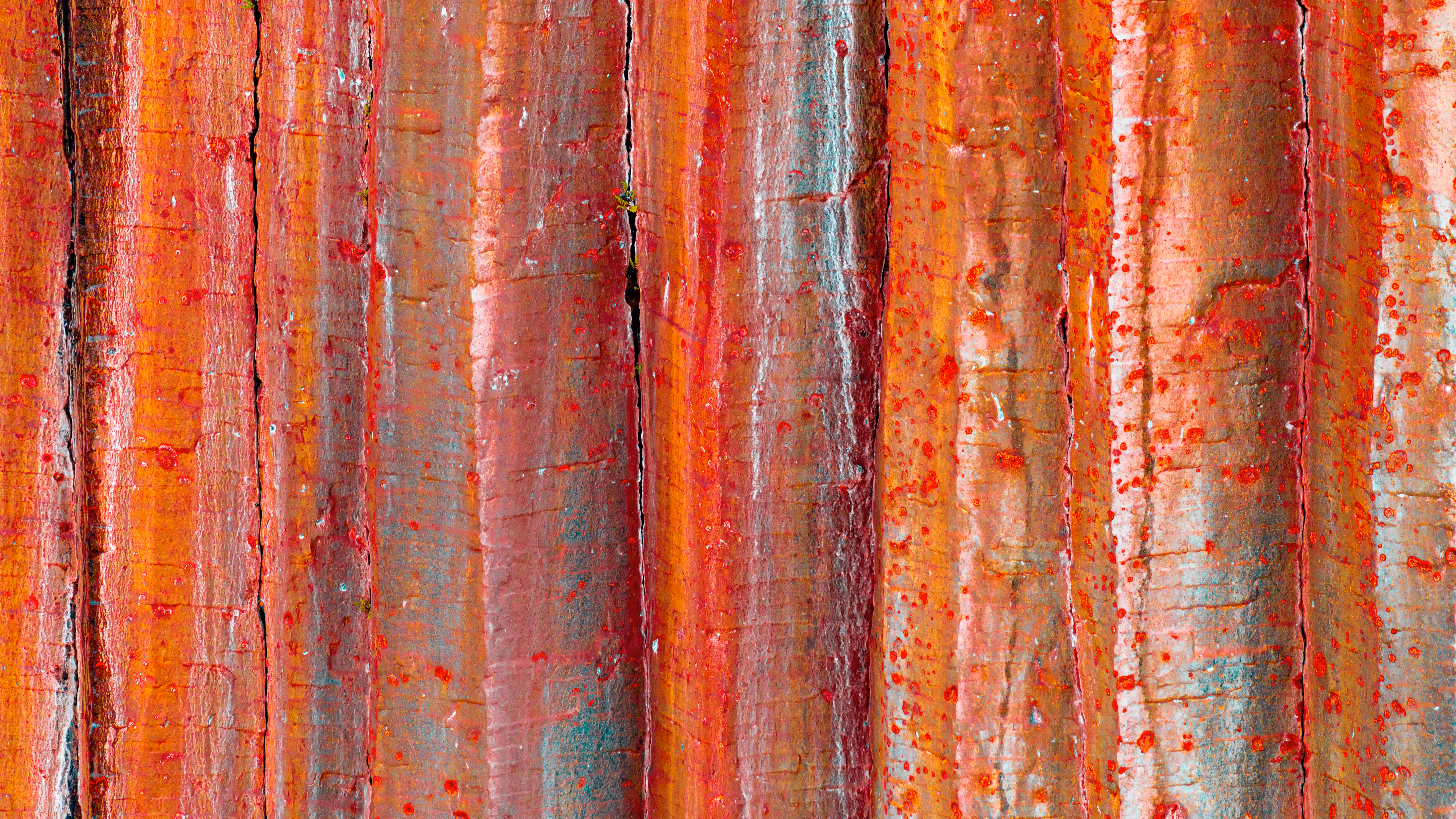 Abstract #10 Blood on the Wall